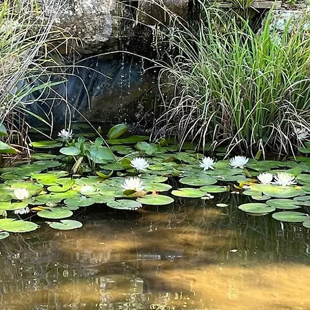 Maison En Pleine Nature -domaine Des Mille Pierres Laudun