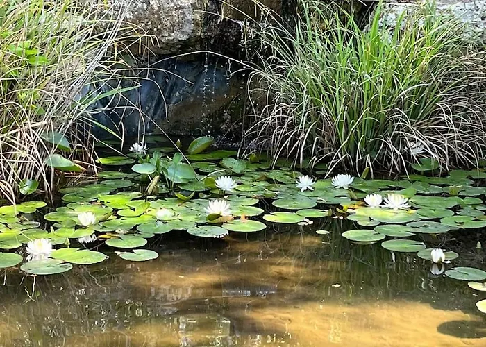 Maison En Pleine Nature -domaine Des Mille Pierres Laudun